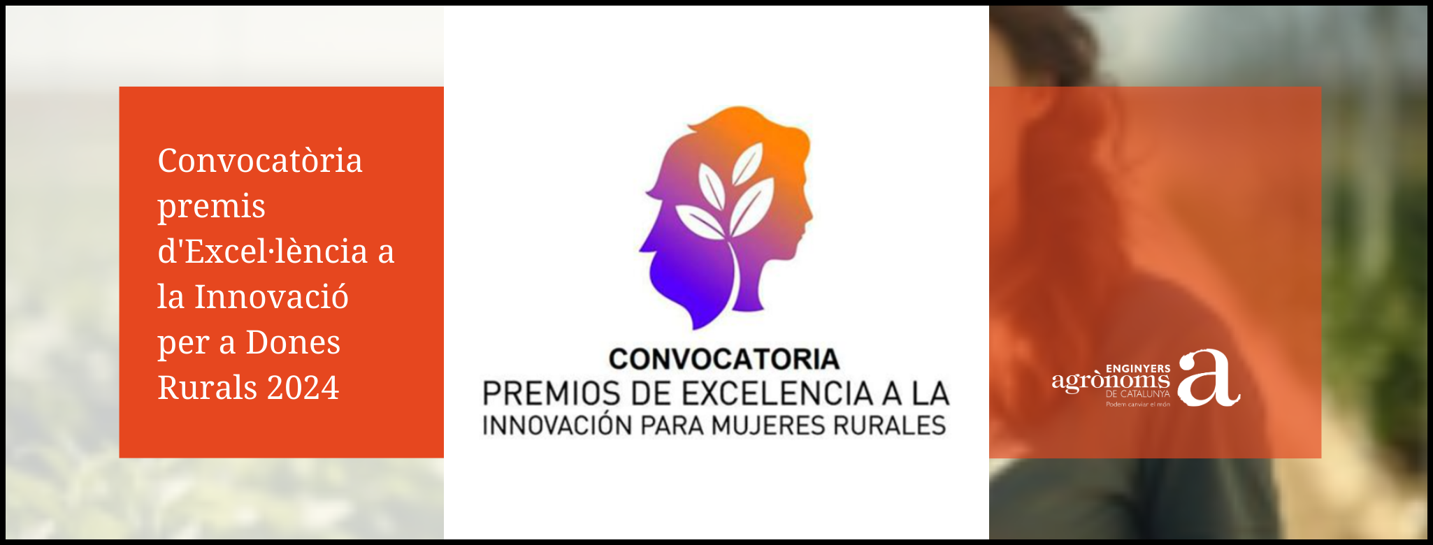 Convocatòria premis d’Excel·lència a la Innovació per a Dones Rurals 2024