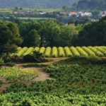 Sessió explicativa sobre l’avantprojecte del Pla territorial parcial i el catàleg del paisatge del Penedès