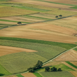 3a JORNADA SOBRE VALORACIONS: Casos pràctics de valoracions agràries