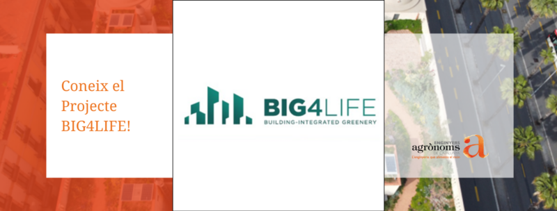 Coneix el Projecte BIG4LIFE!