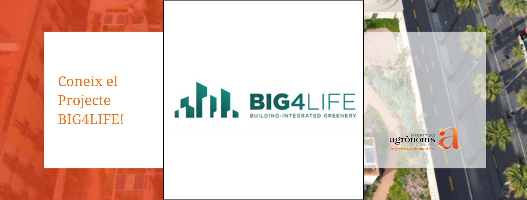 Coneix el Projecte BIG4LIFE!