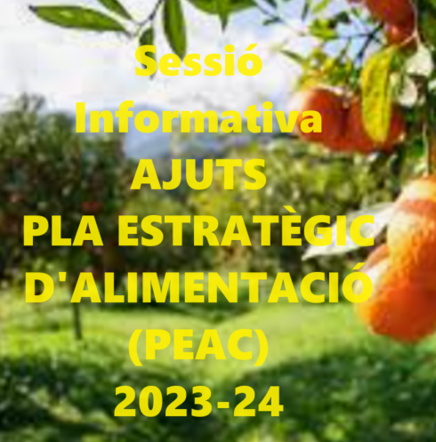 Sessió informativa sobre els ajuts del Pla Estratègic de l'Alimentació (PEAC) 2023 i 2024