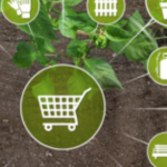 Economia circular: normativa aplicable al sector agroalimentari al Mediterrani i a la UE