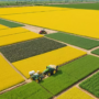 Conclusions jornada IIE: “Els Sistemes Agroalimentaris Europeu i Espanyol entre la Guerra d’Ucraïna i els Acords de Lliure Comerç”