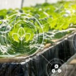 Webinar: "DigiMAPA: L'eina digital que connecta el sector agroalimentari amb les empreses Agrotech"