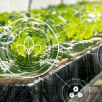Webinar: “DigiMAPA: L’eina digital que connecta el sector agroalimentari amb les empreses Agrotech”