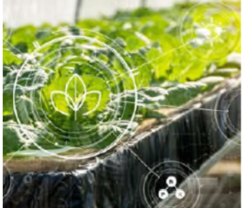 Webinar: "DigiMAPA: L'eina digital que connecta el sector agroalimentari amb les empreses Agrotech"