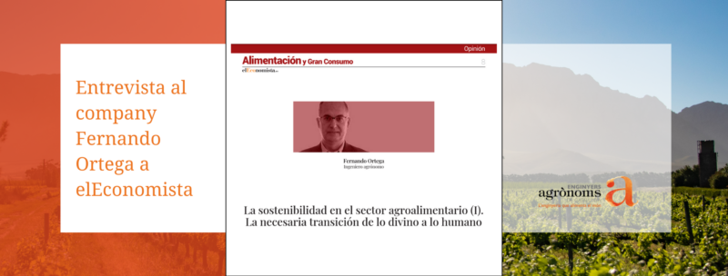 Publicat l’article del company Fernando Ortega a elEconomista