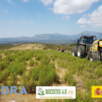Noves Perspectives de l'Aprofitament de la Jara Pringosa a la zona centre d'Espanya". Projecte BIOCISTUS 4.0.