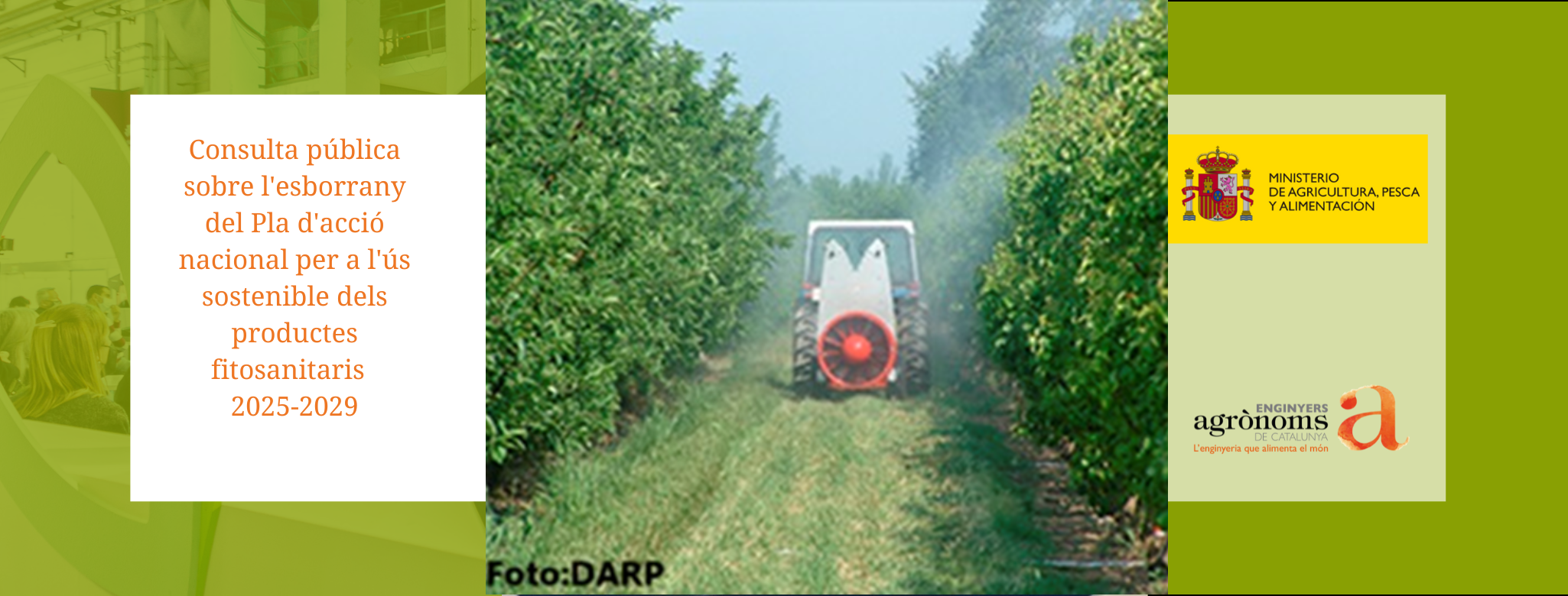 Consulta pública sobre l’esborrany del Pla d’acció nacional per a l’ús sostenible dels productes fitosanitaris. Període 2025-2029