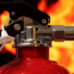 Dia del foc. "Sostenibilitat i Incendi. Nous Reptes"