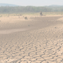 Jornada “Impacte del canvi climàtic a l’agricultura de regadiu: estratègies de adaptació” (En línia)