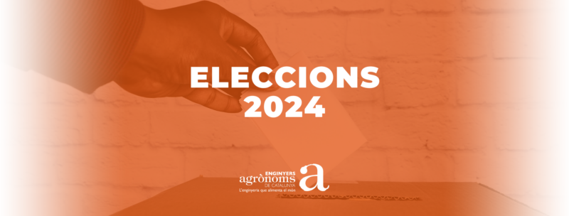 Eleccions 2024