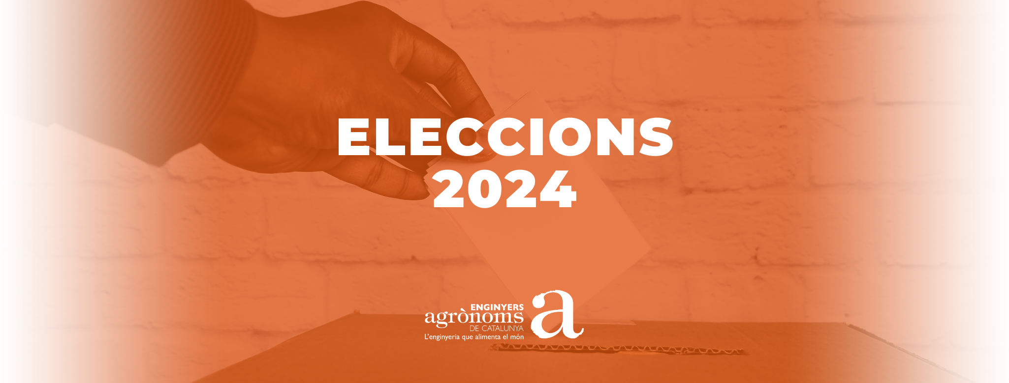 Eleccions 2024