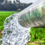 Jornada: L'Aigua, la Gestió i la Seguretat Alimentària