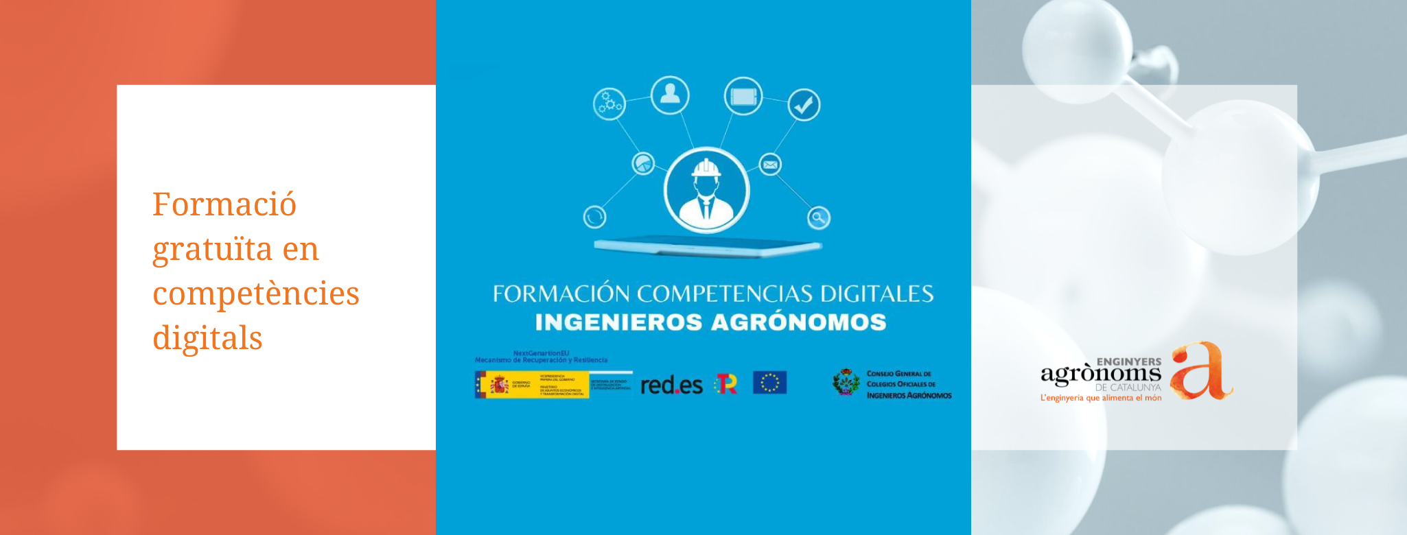 Formació gratuïta en competències digitals