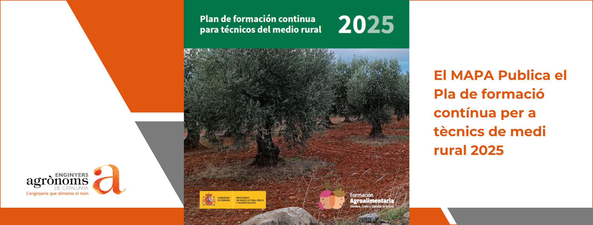 El MAPA Publica el Pla de formació contínua per a tècnics de medi rural 2025