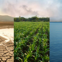 Dia Mundial de l’Aigua. Clima, agricultura i aigua