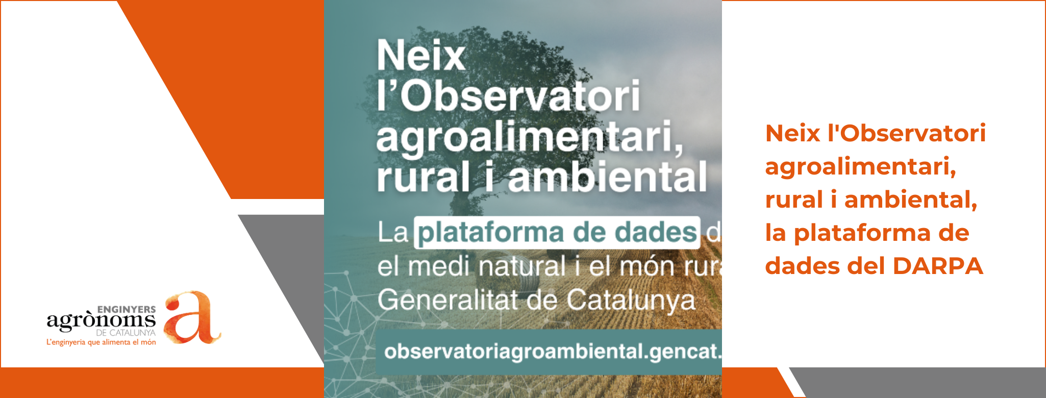 Neix l’Observatori agroalimentari, rural i ambiental, la plataforma de dades del DARPA