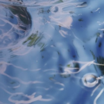 Cap al 2050. El paper clau de Girona en la transició hídrica de Catalunya