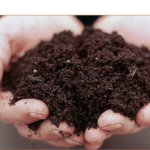 Jornada sobre l’Estratègia Catalana del Digestat