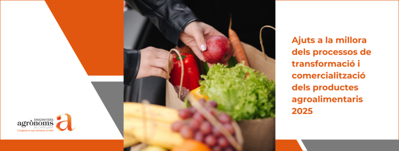 Convocats els ajuts a la millora dels processos de transformació i comercialització dels productes agroalimentaris corresponents a l’any 2025