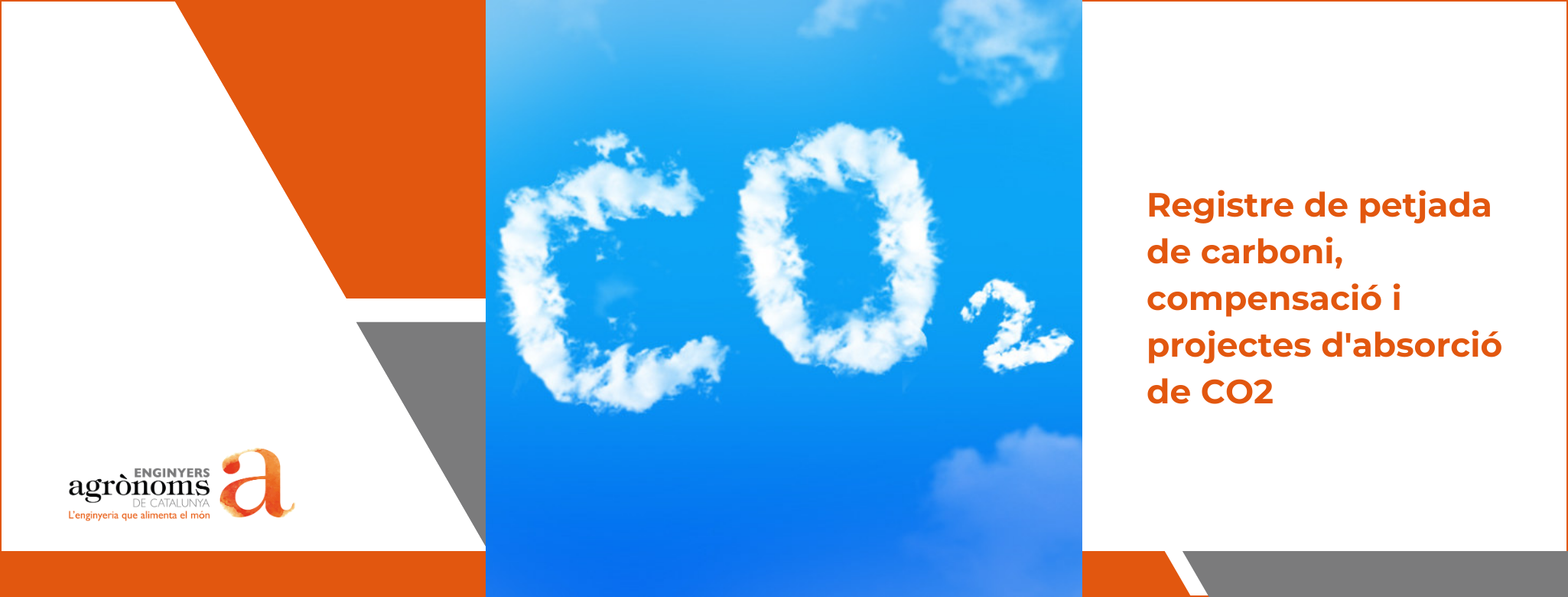 Registre de petjada de carboni, compensació i projectes d’absorció de CO2