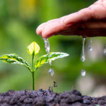 Jornada de l’Observatori Intercol·legial de l’Aigua: transició hídrica a l’agricultura