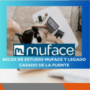 Beques per Enginyeria Agronòmica Superior a càrrec del “Legado Casado de la Fuente”. Curs 2025/2026