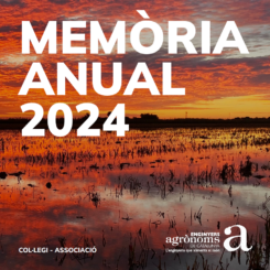 memòria 2024 memòria 2024