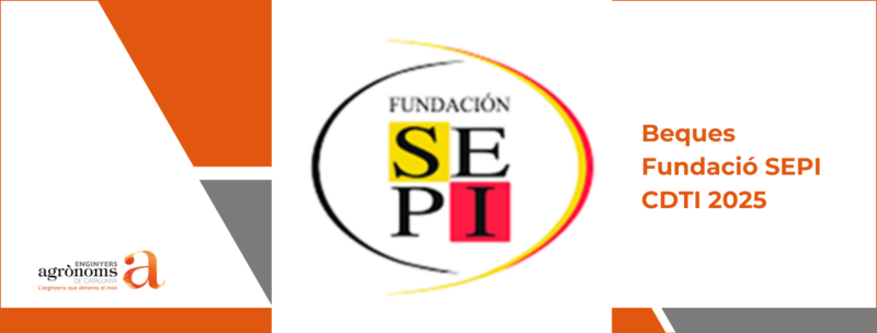 BEQUES FUNDACIÓ SEPI – CDTI 2025- 2n. procés