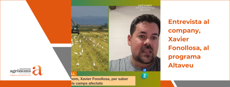 Entrevista al membre de la Comissió de valoracions i peritatges del COEAC, Xavier Fonollosa, al programa Altaveu