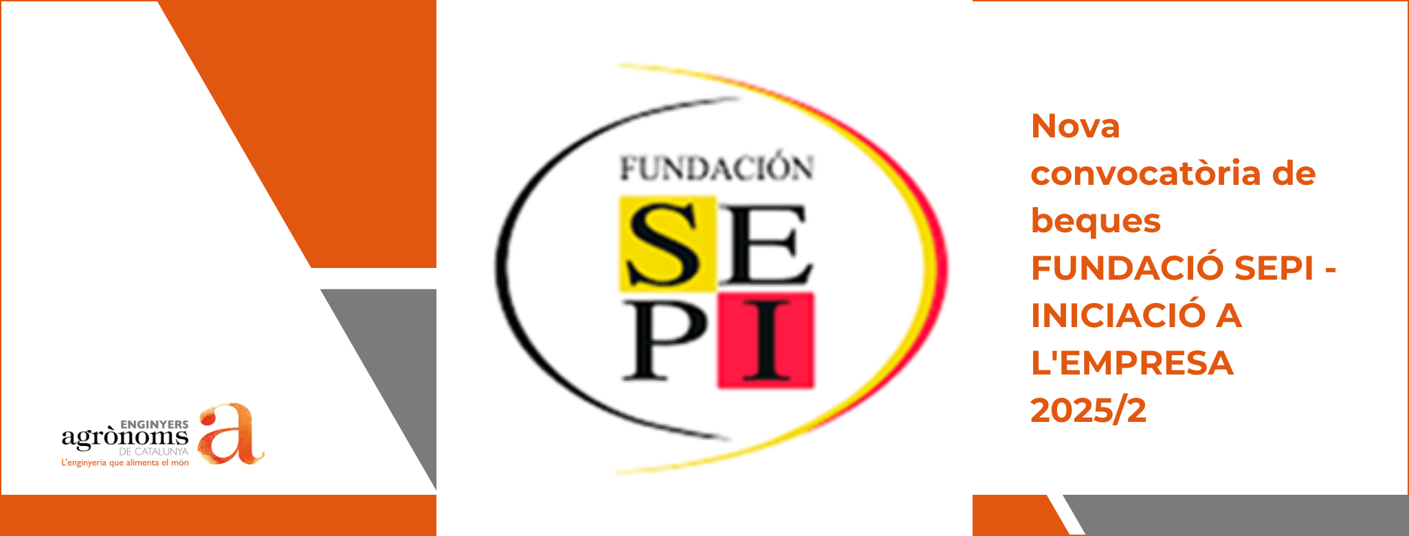 Nova convocatòria de beques FUNDACIÓ SEPI – INICIACIÓ A L’EMPRESA 2025/2