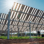 Coneix el projecte Agròpolis realitzat per la Universitat Politècnica de Catalunya