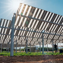 Coneix el projecte Agròpolis realitzat per la Universitat Politècnica de Catalunya