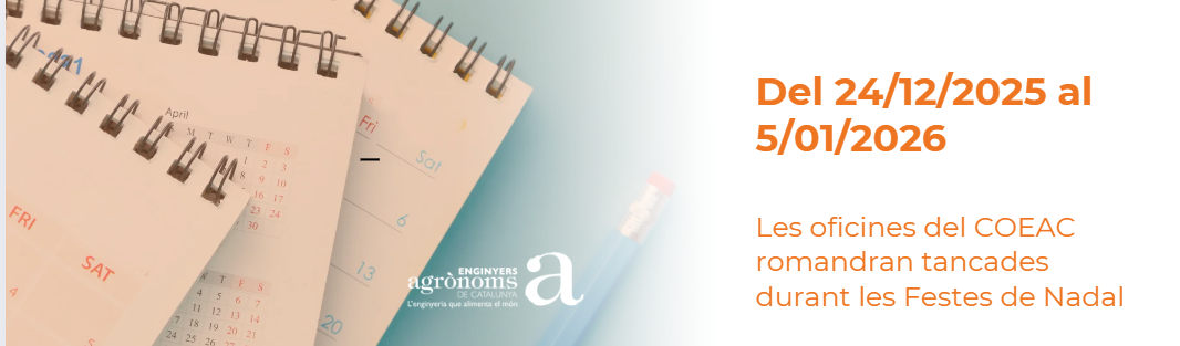 Nadal 2025 a les oficines del COEAC