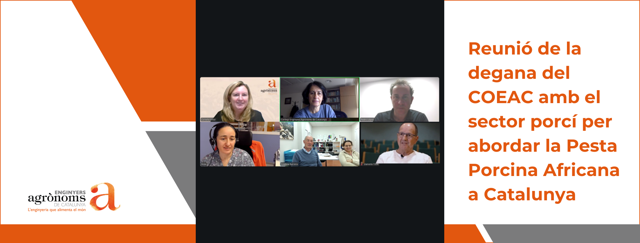 Reunió de la degana del COEAC amb professionals del sector porcí per abordar la Pesta Porcina Africana a Catalunya