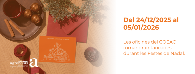 Nadal 2025 a les oficines del COEAC