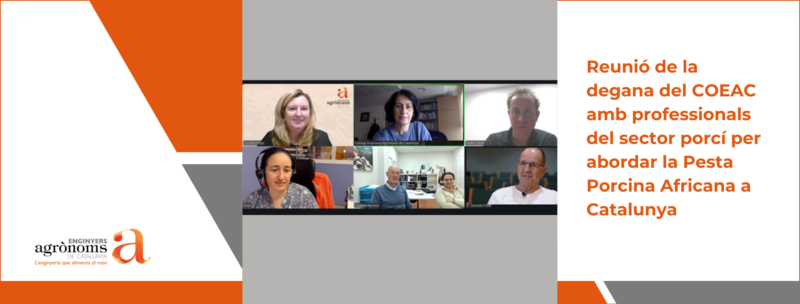 Reunió de la degana del COEAC amb professionals del sector porcí per abordar la Pesta Porcina Africana a Catalunya