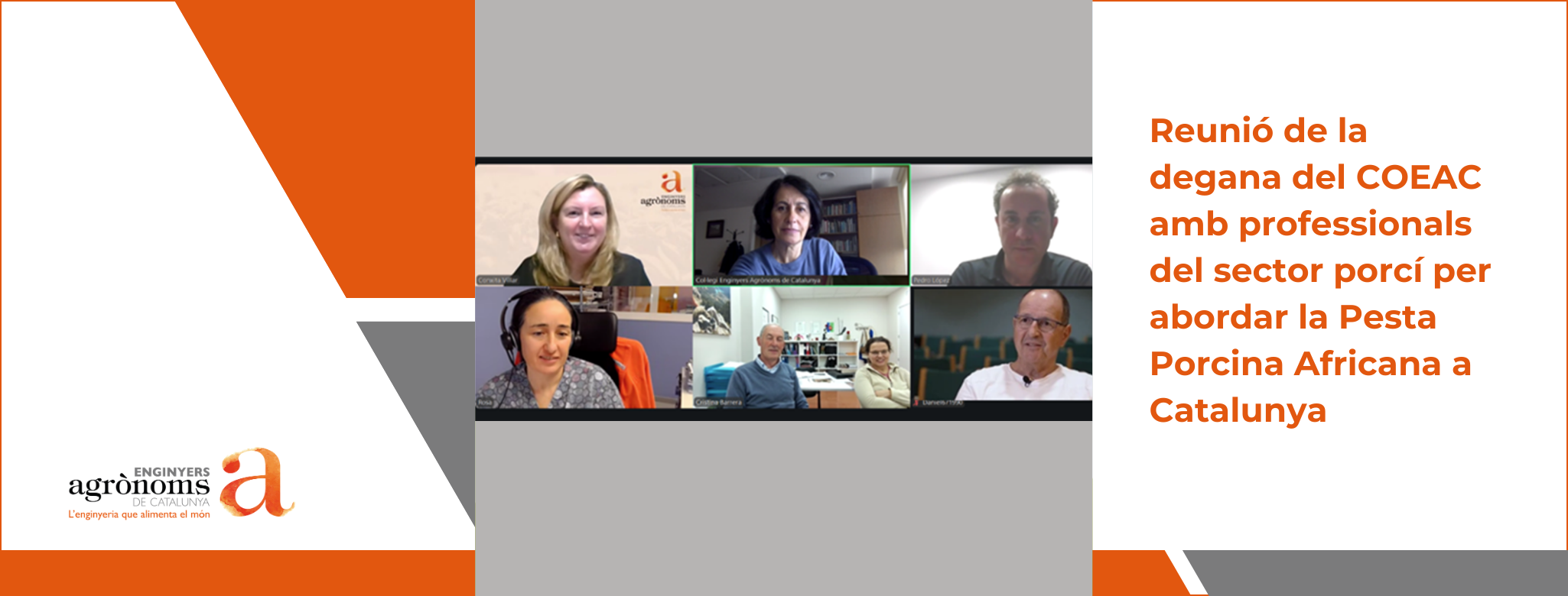 Reunió de la degana del COEAC amb professionals del sector porcí per abordar la Pesta Porcina Africana a Catalunya