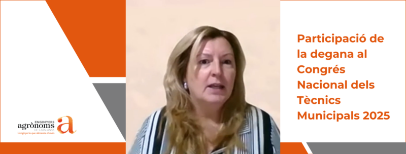 Participació de la degana, Conxita Villar, al Congrés Nacional dels Tècnics Municipals 2025