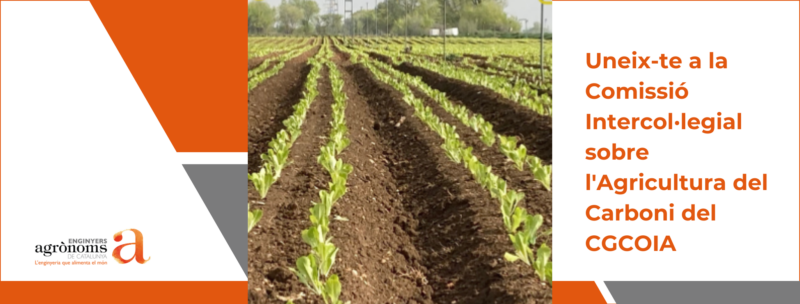 Uneix-te a la Comissió Intercol·legial sobre l’Agricultura del Carboni del Consell General de Col·legis Oficials d’Enginyers Agrònoms (CGCOIA)!