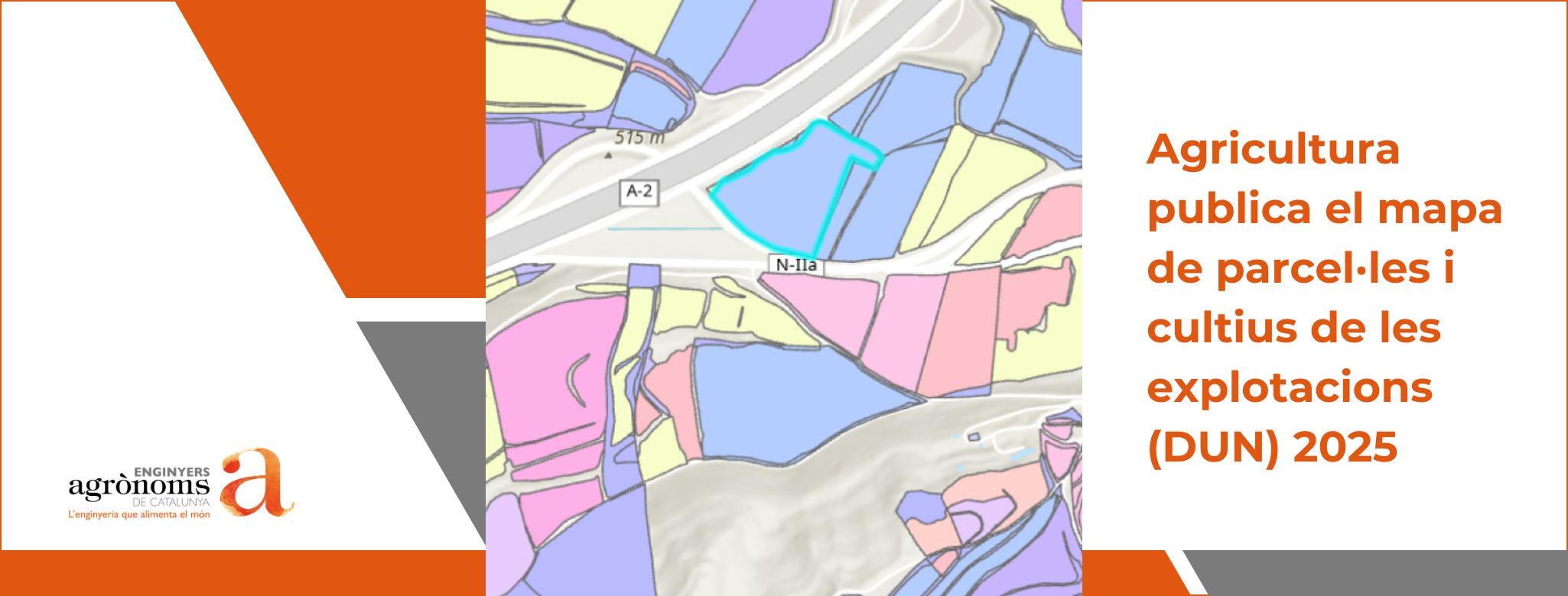 Agricultura publica el mapa de parcel·les i cultius de les explotacions (DUN) 2025