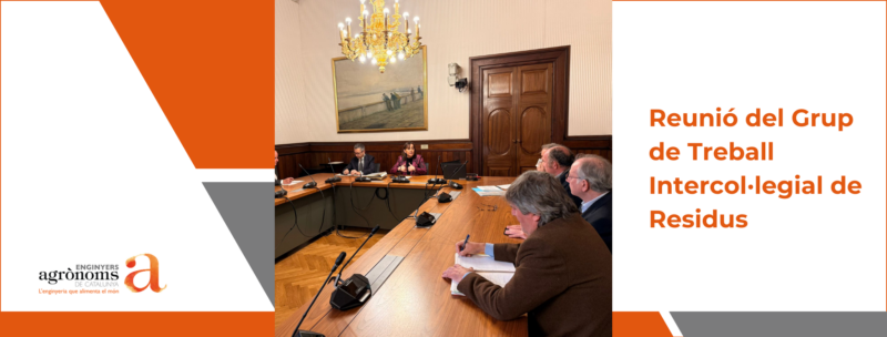 Reunió del Grup de Treball Intercol·legial de Residus amb la consellera de Territori, Habitatge i Transició Ecològica