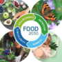 Nova Estratègia Europea | Building Food 2040 Stakeholder Consultation