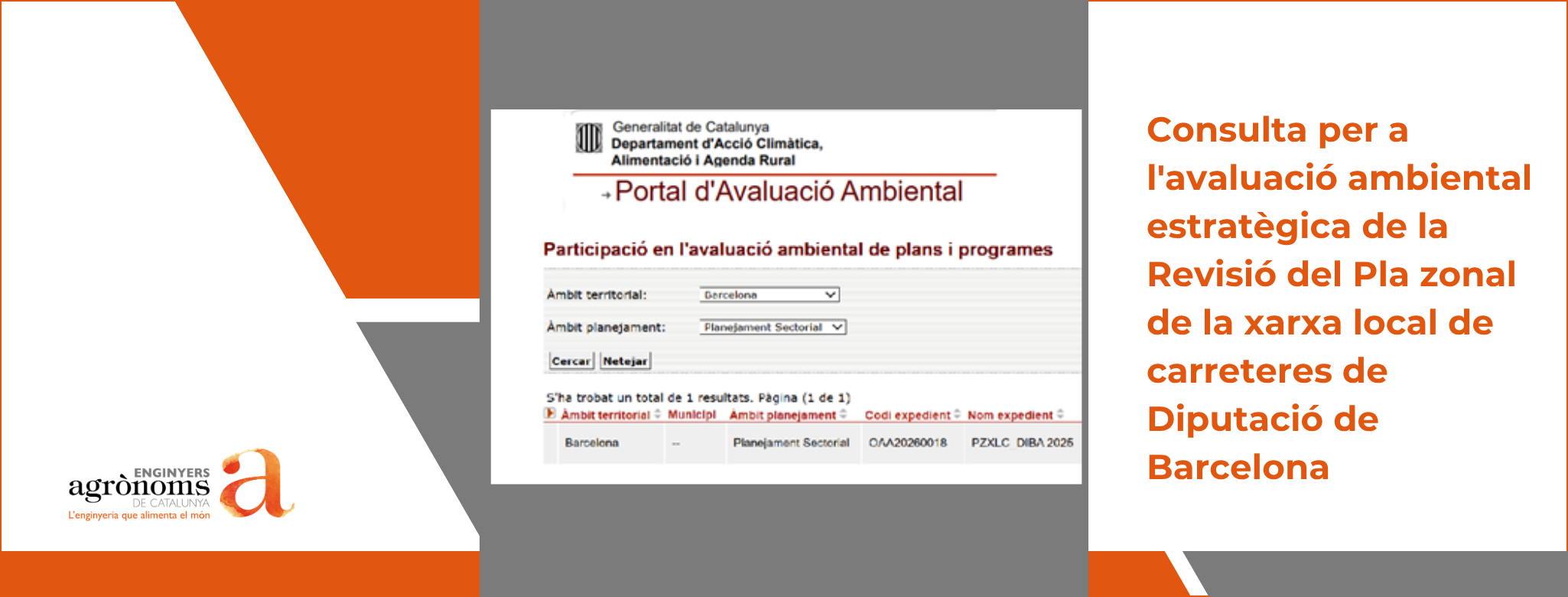 Consulta per a l’avaluació ambiental estratègica de la Revisió del Pla zonal de la xarxa local de carreteres de la Diputació de Barcelona