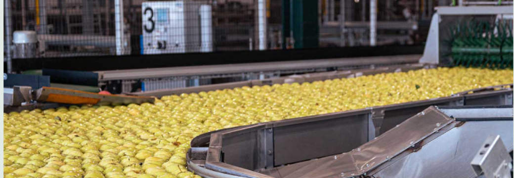 Visita tècnica a NUFRESCO (Grup NUFRI)