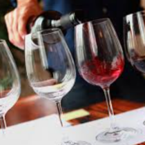 Tast de vins cooperatius: el valor de la unió