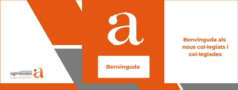 Benvinguda als nous col·legiats i col·legiades en una reunió virtual amb la Degana i la secretària tècnica