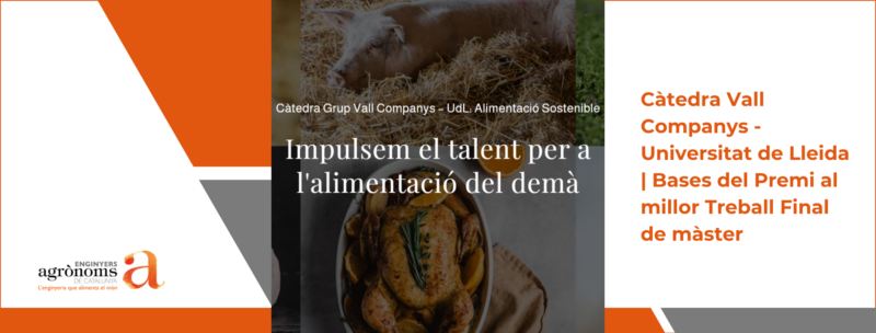 Càtedra Vall Companys – Universitat de Lleida | Bases del Premi al millor Treball Final de màster